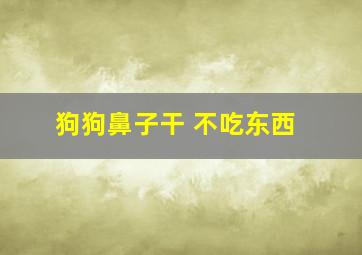 狗狗鼻子干 不吃东西